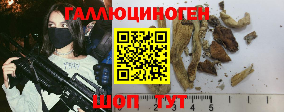 Добрянка  Галлюциногенные грибы GOLDEN TEACHER  Вход с VPN 